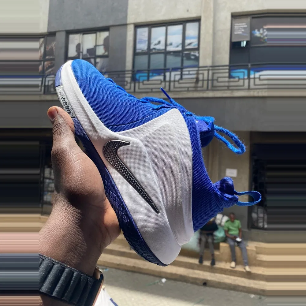 Nike Nike Royal Blue Mesh Trainer — Royal Blue / White